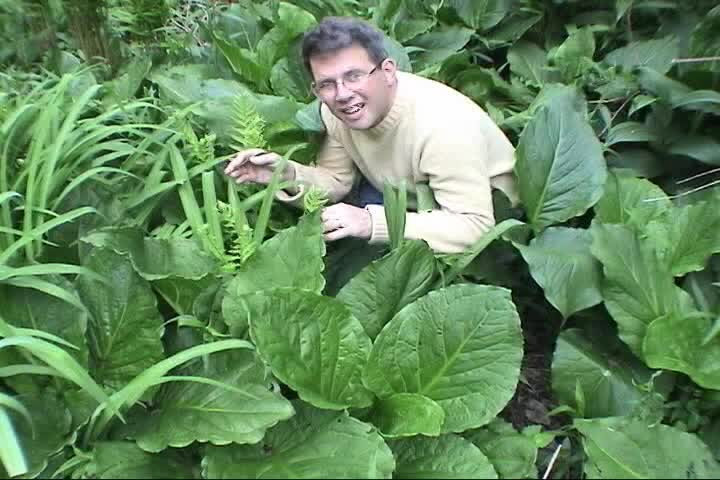 Expedition Earth with Scott Tucker • Manatees Garden in the Sound